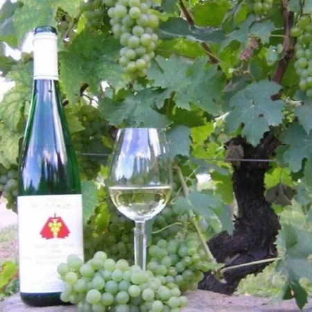 Ferienweingut St. Martin * Ensch