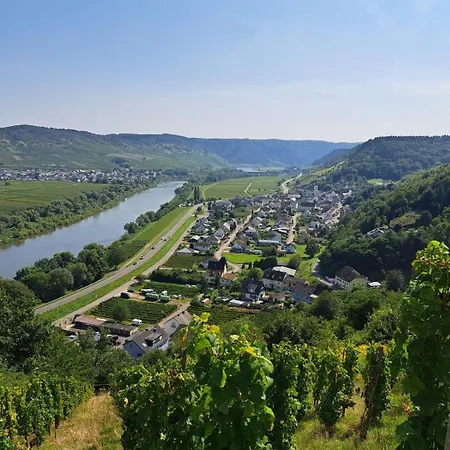 Guest house Ferienweingut St. Martin Ensch