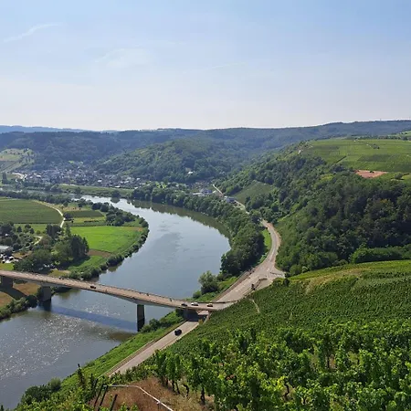 Ferienweingut St. Martin