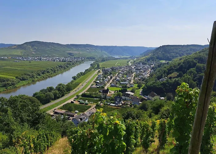 Pensionat Ferienweingut St. Martin Ensch